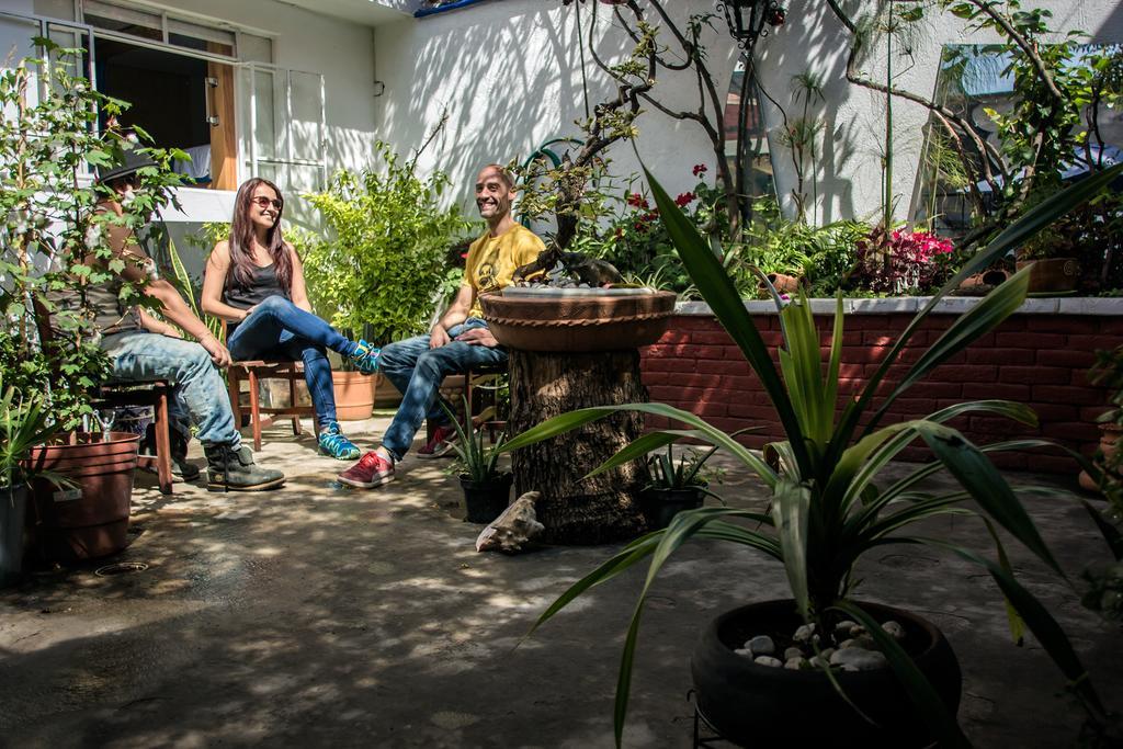 Punto Df - Airport Hostel Mexico City Ngoại thất bức ảnh